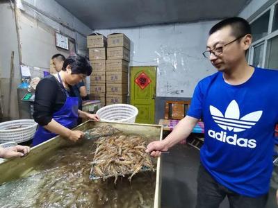 青岛海鲜大量上市！每天20万斤从这里运往全国，价格即将回落