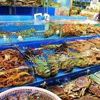 解密保定顺平海鲜市场 新鲜保证的进货之源与批发路径