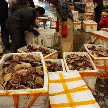 红河弥勒市海鲜干货市场 品质海鲜批发的重要枢纽