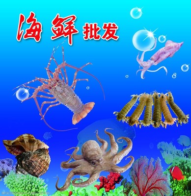 海鲜鉴别指南 一张图片看懂新鲜与品质