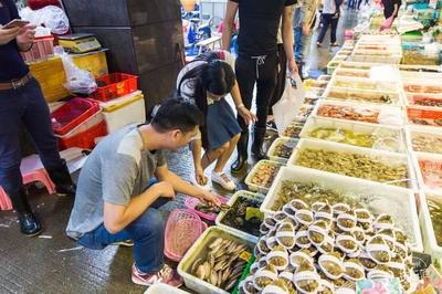 探秘广州最大海鲜市场 早市里的活色生香