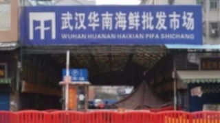 海关总署重拳出击 斩断野生动物走私，海鲜市场规范化