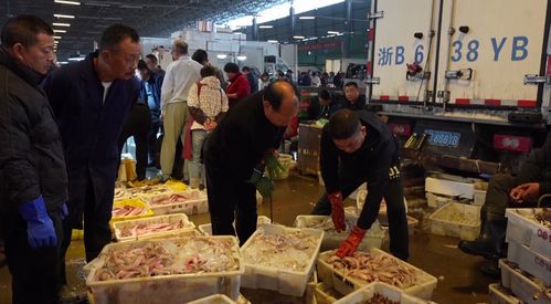 这口鲜，且吃且珍惜——休渔前探访各地水产市场海鲜批发